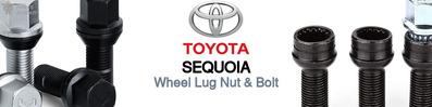 Discover Toyota Sequoia Wheel Lug Nut & Bolt For Your Vehicle