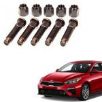 Enhance your car with Kia Forte Wheel Stud & Nuts 