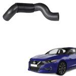 Enhance your car with Nissan Datsun Maxima Lower Radiator Hose 