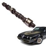 Enhance your car with Pontiac Firebird Camshaft & Parts 