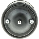 Order Thermostat 176f/80c by MOTORAD - 733-176 For Your Vehicle