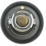 Order Thermostat 180F / 82C by MOTORAD - 333-180 For Your Vehicle