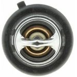 Order 180f/82c Thermostat by MOTORAD - 699-180 For Your Vehicle