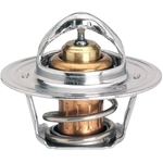 Order GATES - 33199S - Thermostat 195F / 91C For Your Vehicle