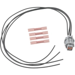 Order BLUE STREAK (HYGRADE MOTOR) - S2924 - ABS Speed Sensor Connector For Your Vehicle