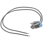 Order BWD AUTOMOTIVE - PT177 - ABS Harness Connecteur For Your Vehicle