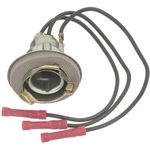 Order BLUE STREAK (HYGRADE MOTOR) - S69 - Back Up Light Socket For Your Vehicle