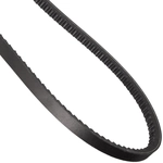 Order CONTINENTAL - 15595 - V-Groove Serpentine Belt For Your Vehicle