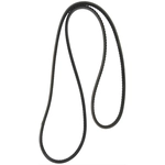 Order CONTINENTAL - 15366 - Serpentine Belt - Automotive V-Belt For Your Vehicle