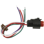 Order BWD AUTOMOTIVE - PT5736 - Power Steering Pressure Switch Connecteur For Your Vehicle