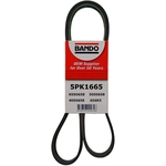 Order BANDO USA - 5PK1665 - Serpentine Belt For Your Vehicle