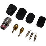 Order GLOBAL PARTS DISTRIBUTORS - 1311572 - Air Conditioning Service Valve Core For Your Vehicle
