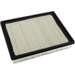 Order ACDELCO - A3181C - Panel Air Filter For Your Vehicle