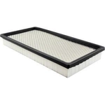 Order Air Filter by BALDWIN - PA2163 For Your Vehicle