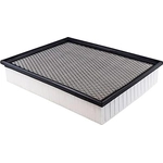 Order DENSO - 143-3436 - Air Filter For Your Vehicle