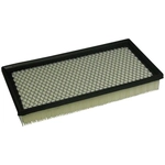 Order Air Filter by ECOGARD - XA4731 For Your Vehicle