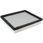 Order Air Filter by ECOGARD - XA5396 For Your Vehicle