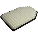 Order Air Filter by ECOGARD - XA5819 For Your Vehicle