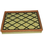 Order Air Filter by ECOGARD - XA6163 For Your Vehicle