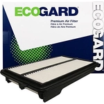 Order Air Filter by ECOGARD - XA10006 For Your Vehicle