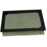 Order Air Filter by ECOGARD - XA3590 For Your Vehicle