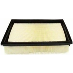 Order Air Filter by ECOGARD - XA5105 For Your Vehicle