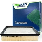 Order Air Filter by ECOGARD - XA6151 For Your Vehicle