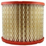 Order Air Filter by FRAM - CA3924 For Your Vehicle