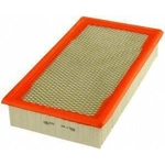 Order FRAM - CA8925 - Air Filter For Your Vehicle