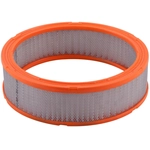 Order PRONTO FILTERS - PA3195 - Air Filter For Your Vehicle