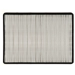 Order PRONTO FILTERS - PA4479 - Air Filter For Your Vehicle