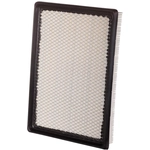 Order PRONTO FILTERS - PA5560 - Air Filter For Your Vehicle