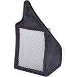 Order PRONTO FILTERS - PA6165 - Engine Air Filter For Your Vehicle