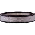 Order PRONTO FILTERS - PA831 - Engine Air Filter For Your Vehicle