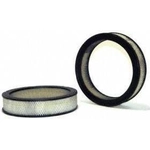 Order Air Filter by WIX - 42064 For Your Vehicle