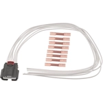 Order BWD AUTOMOTIVE - PT2491 - Engine Crankshaft Position Sensor Connecteur For Your Vehicle