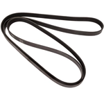 Order CONTINENTAL - 6PK1033 - Serpentine Ceinture For Your Vehicle