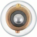 Order Auto Transmission Indicator by PHILIPS - 57B2 For Your Vehicle
