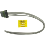 Order BLUE STREAK (HYGRADE MOTOR) - S1352 - Blower Resistor Connector For Your Vehicle