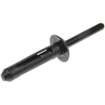 Order DORMAN - 963-201D - Multi-Purpose Rivet For Your Vehicle