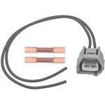 Order BLUE STREAK (HYGRADE MOTOR) - S2326 - Connecteur du capteur de position de came For Your Vehicle