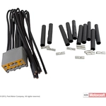 Order Connecteur du module de commande by MOTORCRAFT - WPT516 For Your Vehicle