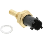 Order Coolant Temperature Sensor by MOTORAD - 1TS1033 For Your Vehicle