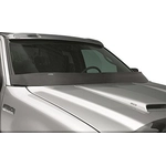 Order Cowl Panel by LUND - 25514 For Your Vehicle