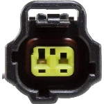 Order Cam Position Sensor Connector by BWD AUTOMOTIVE - PT2443 For Your Vehicle