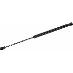 Order STRONG ARM - C7034 - Liftgate Lift Support For Your Vehicle