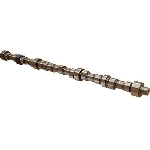 Order New Camshaft by ACDELCO - 12604896 For Your Vehicle