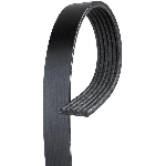 Order CONTINENTAL - 15301 - ContiTech V-Groove Serpentine Belt For Your Vehicle