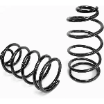 Order Rear Coil Spring by LESJOFORS - 4227556 For Your Vehicle