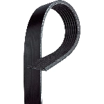 Order Serpentine Belt by CONTINENTAL - 7PK1125 For Your Vehicle